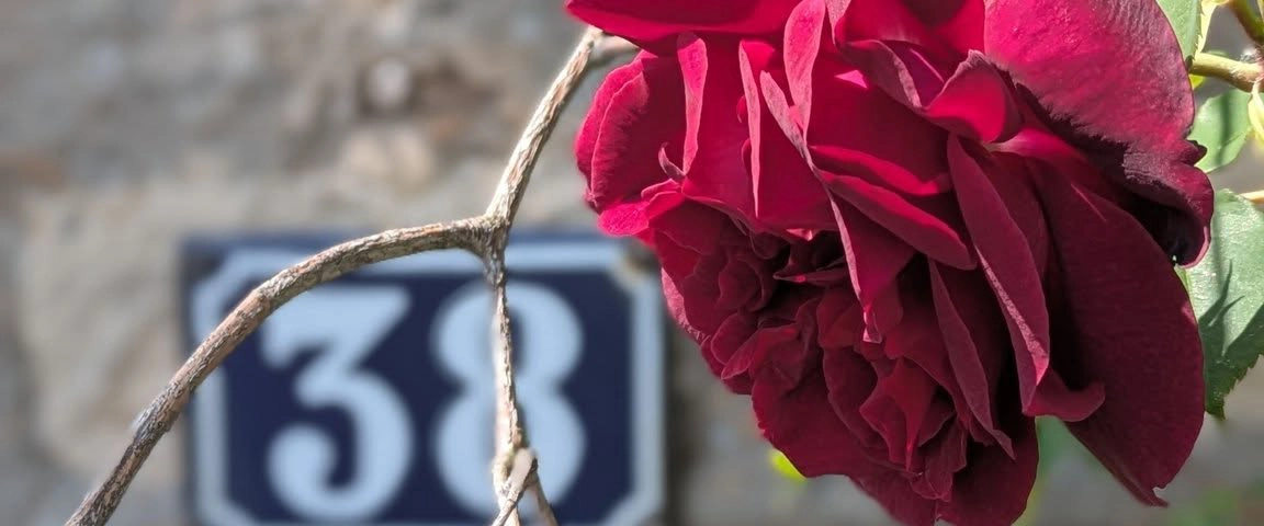 exterieurs-contact-au-sequoia-proche-de-nancy-2-2