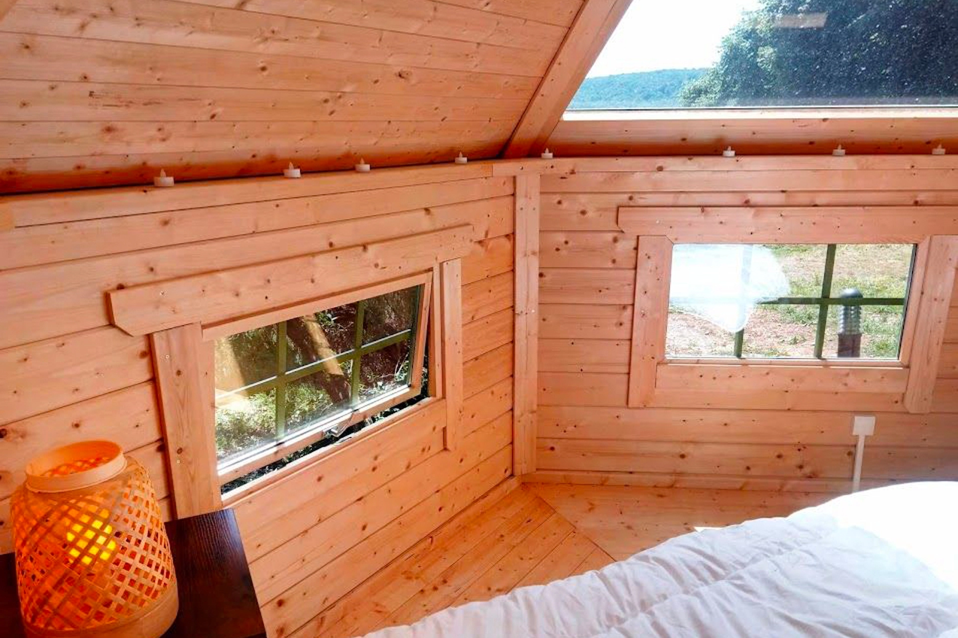 kota-love-au-sequoia-proche-de-nancy-2-10