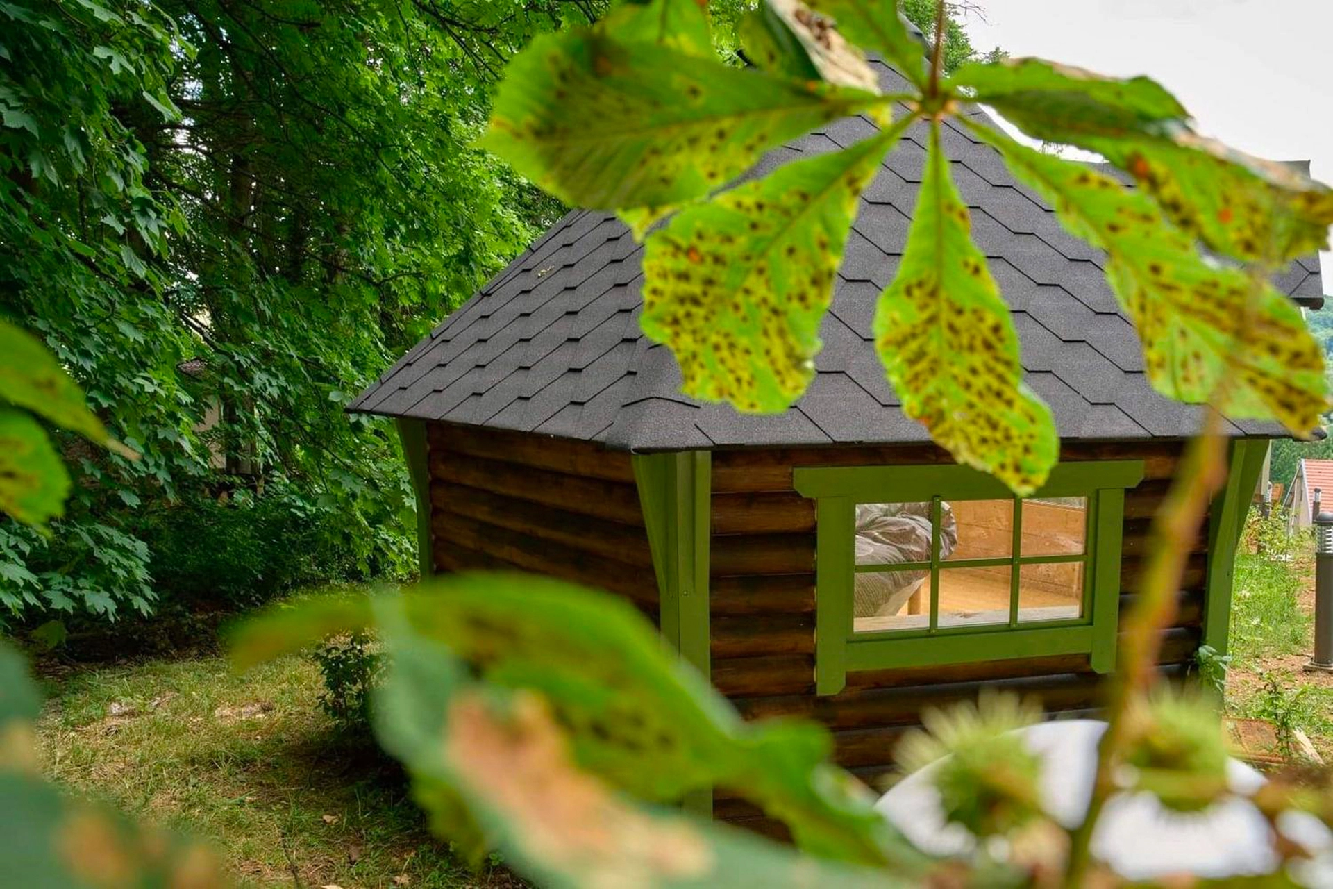 kota-love-au-sequoia-proche-de-nancy-2-2