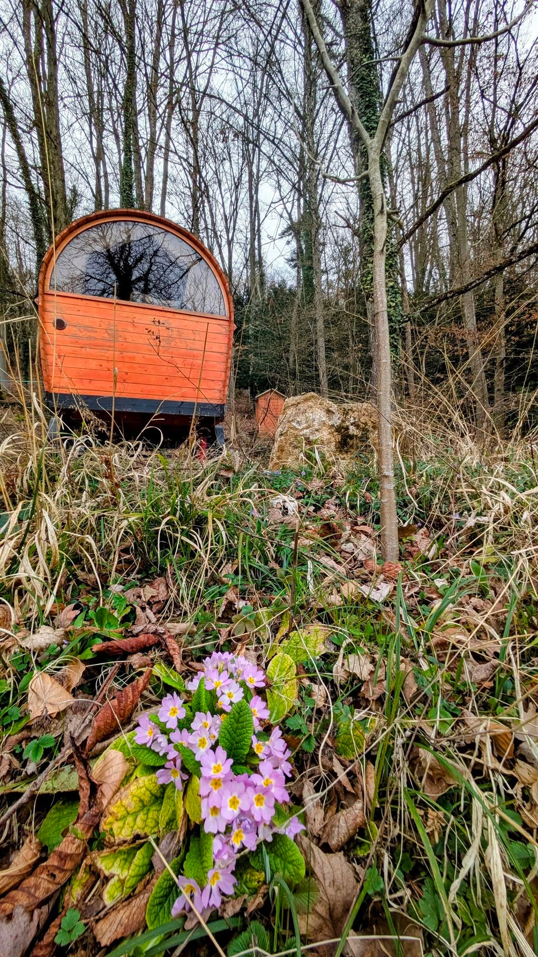 roulotte-cowboy-au-sequoia-proche-de-nancy-3