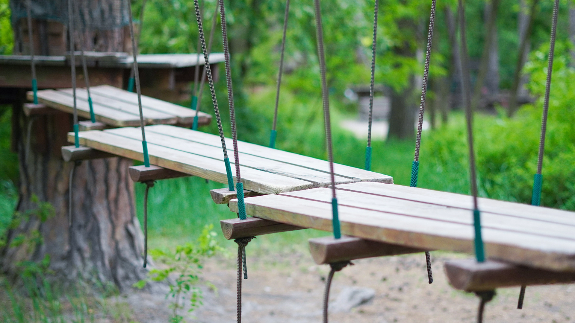 au-sequoia-hebergement-insolite-accrobranche-pompey3