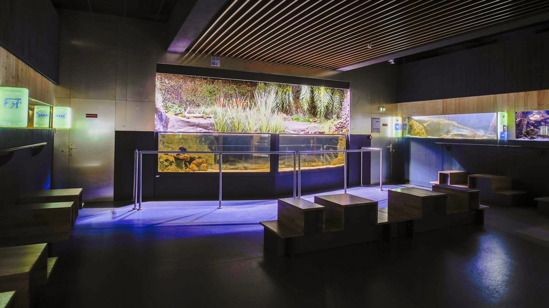 au-sequoia-hebergement-insolite-aquarium-Nancy-loisir-2