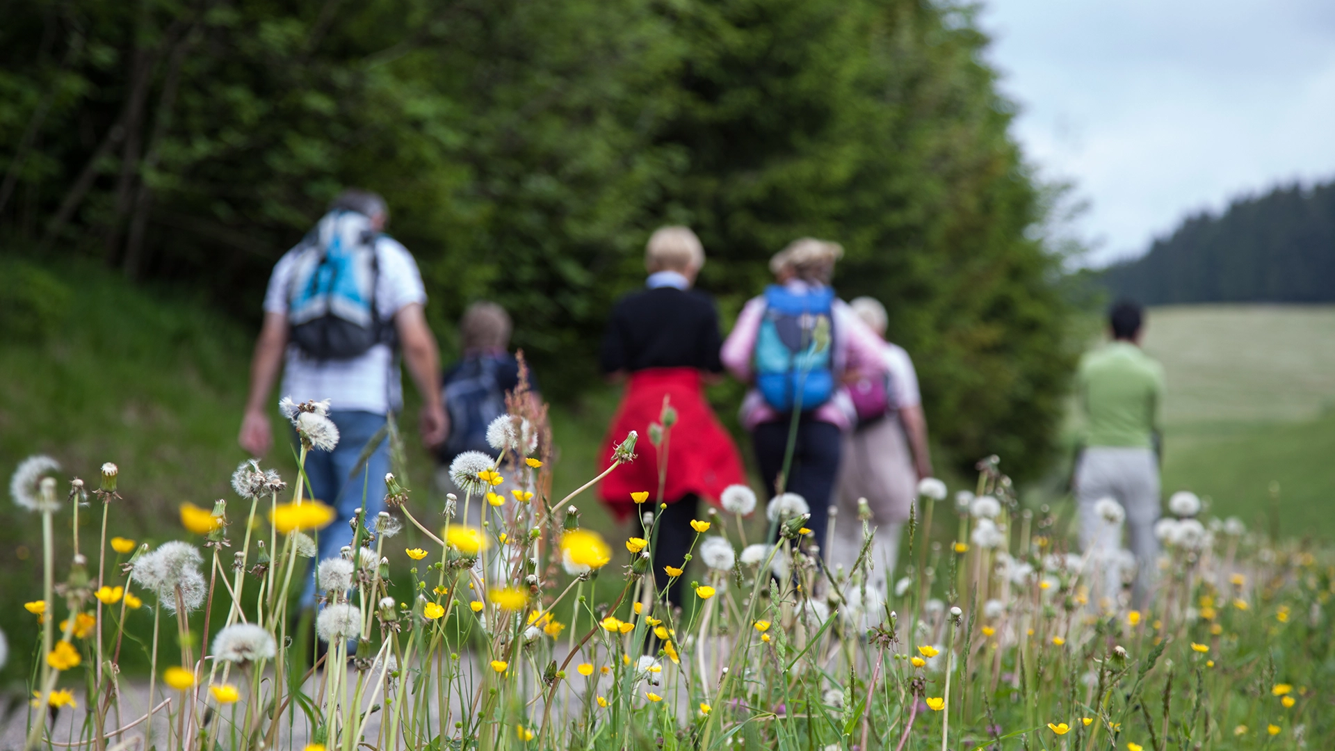 au-sequoia-hebergement-insolite-randonnee1