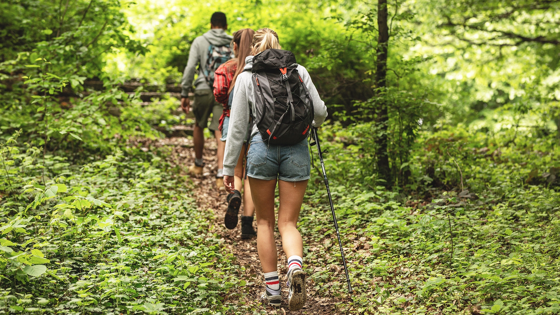 au-sequoia-hebergement-insolite-randonnee3