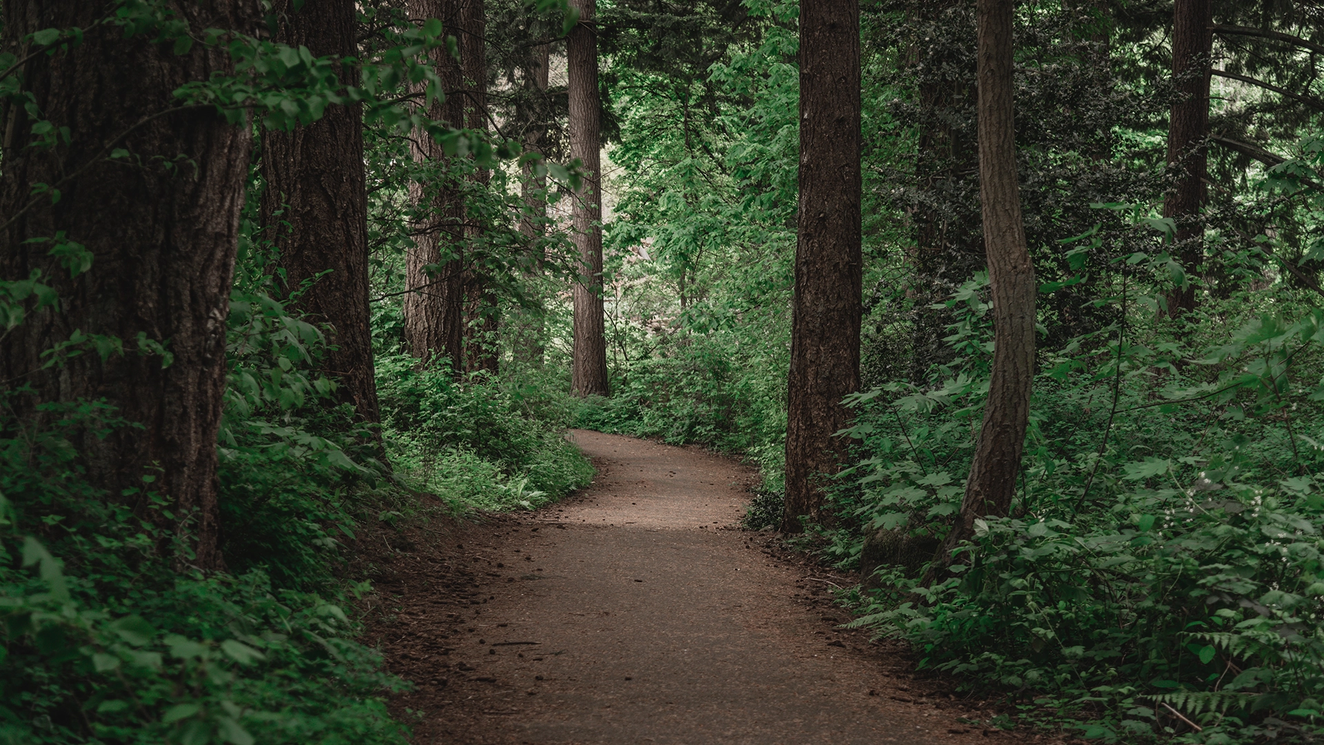 au-sequoia-hebergement-insolite-randonnee4