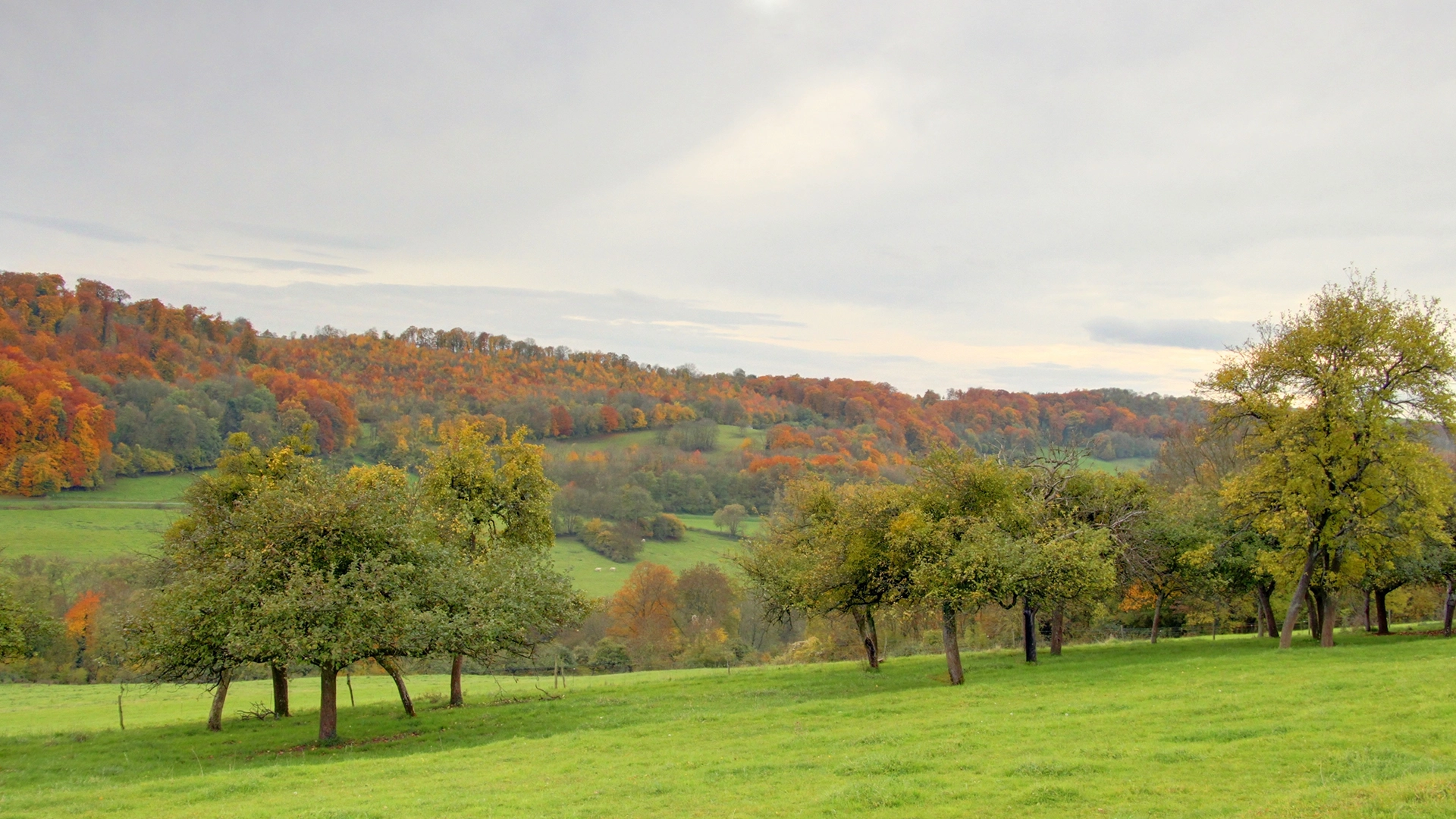 au-sequoia-hebergement-insolite-randonnee6