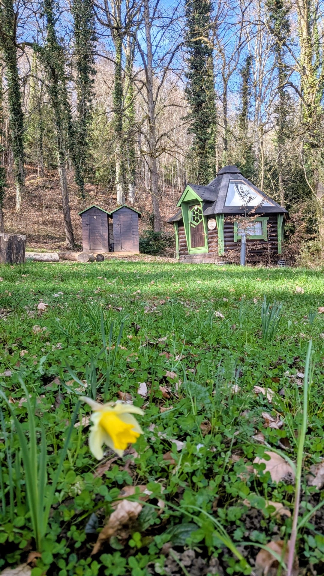 kota-love-au-sequoia-proche-de-nancy-8