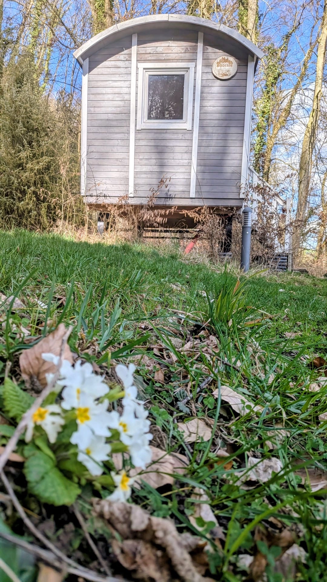 roulotte-moderne-au-sequoia-proche-de-nancy-3